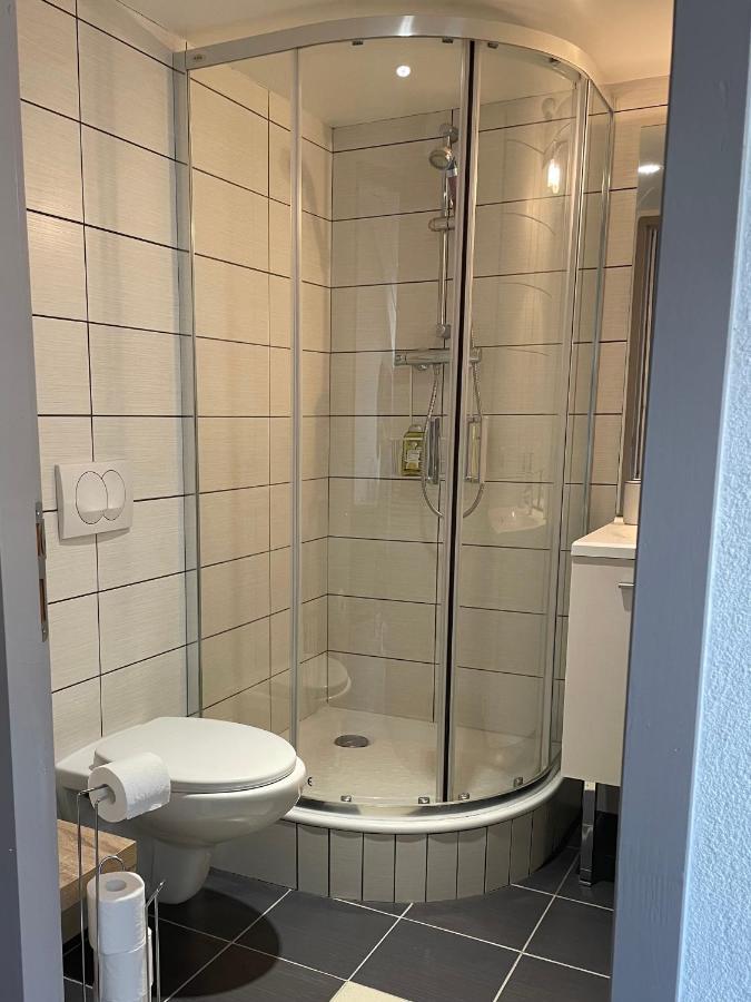 Studio Sous Les Toits Annecy Centre-Ville Zewnętrze zdjęcie
